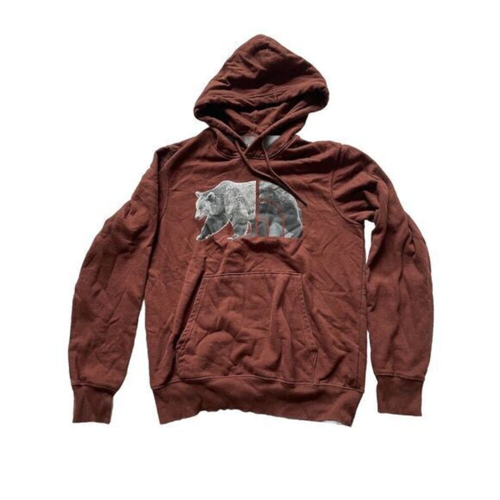 The North Face Bear Hoodie Men's‎ Size S Dark Oak Brown